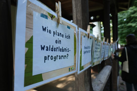 Abenteuer wollen gut geplant sein. Wie Lehrende am besten ein Walderlebnisprogramm aufstellen, vermittelt die SDW in ihren Bildungswerkstätten. Foto: Simon Ambrosch/SDW