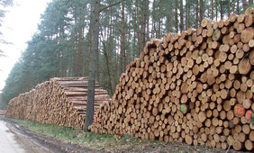 Auch der Handel mit Rohholz ist mit den Tegernseer Gebräuchen schriftlich fixiert – allerdings nicht zwischen der Forstwirtschaft – also dem Waldbesitz – und ihren Abnehmern. Foto: Siria Wildermann