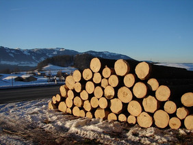 Die Verwendung regional und nachhaltig erzeugten Holzes ist klimafreundlich - und unumgänglich für die Bioökonomie, die auf den Einsatz fossiler Ressourcen verzichtet. Fotos: AELF Kempten