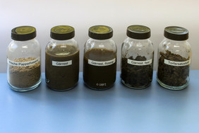 Gärreste und Torfersatzstoff aus Pappelfasern, Quelle: ©Deutsches Biomasseforschungszentrum 
